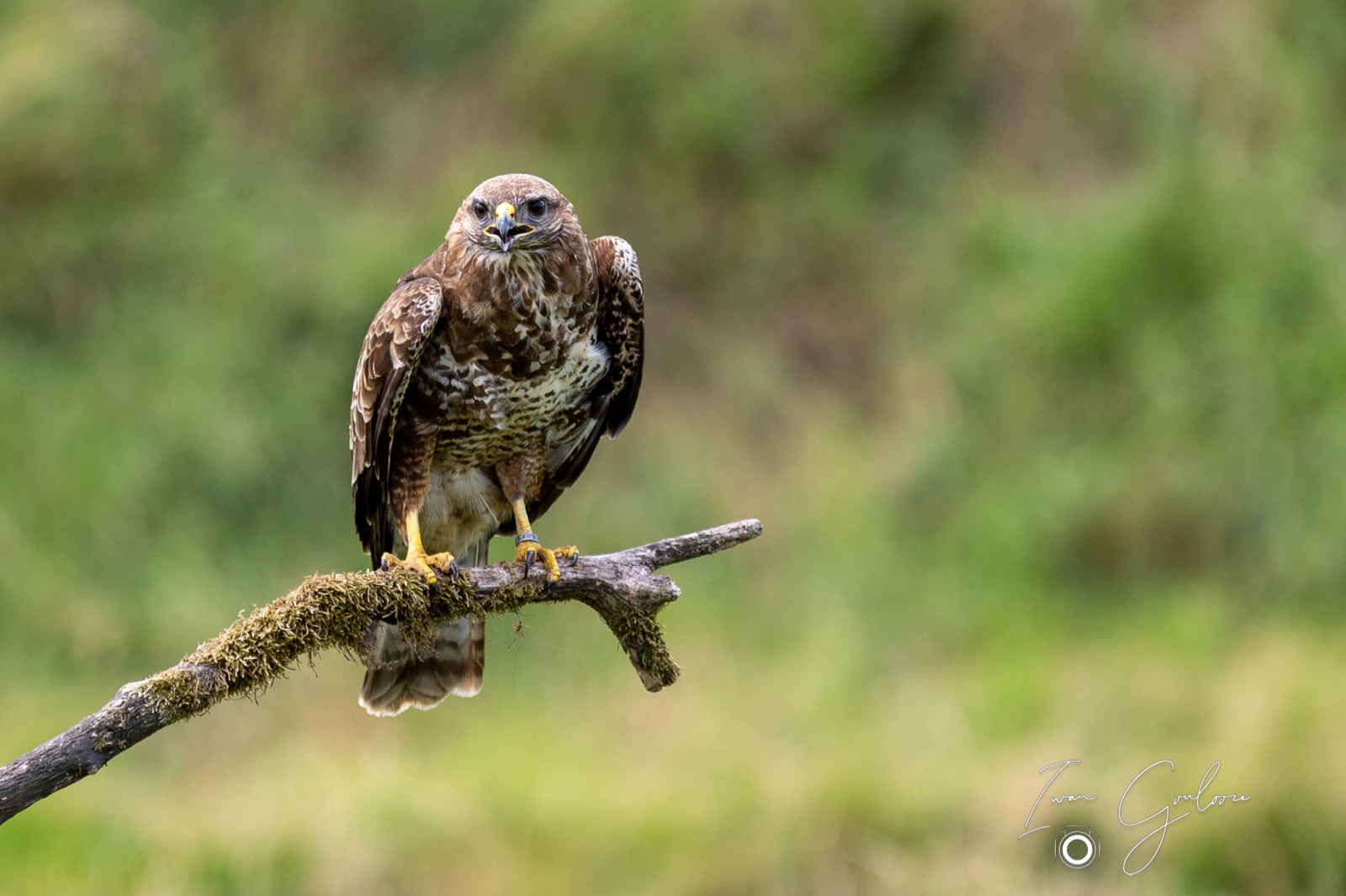 25 juni 2022 145303 1R2A0531